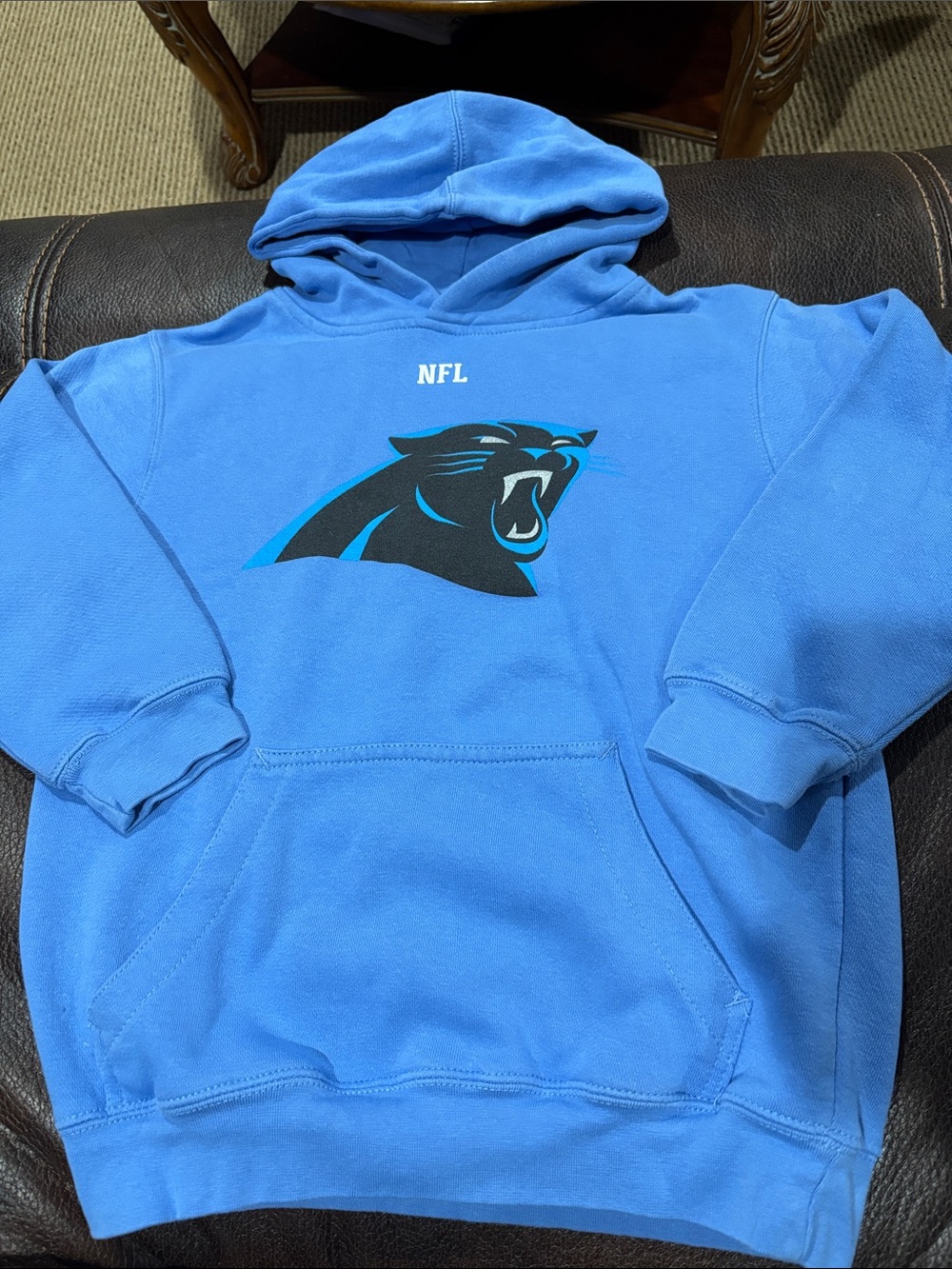 Carolina Panthers NFL Light Blue Hoodie